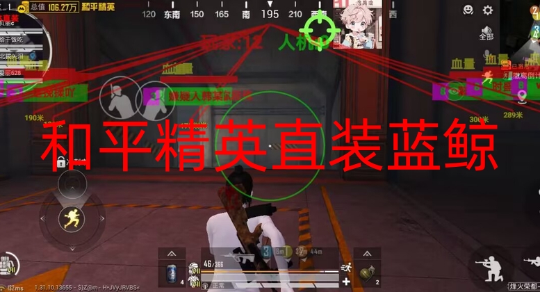 和平精英外挂-和平直装【蓝鲸】的教程和注意事项第1张